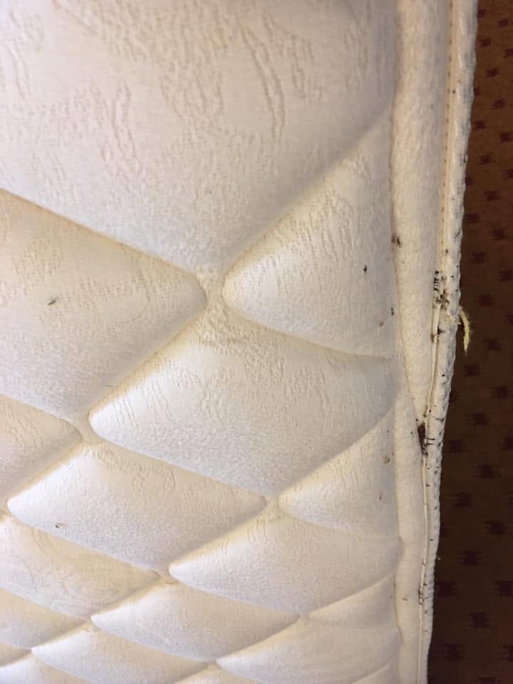 Inspection photo of a mattress seam
